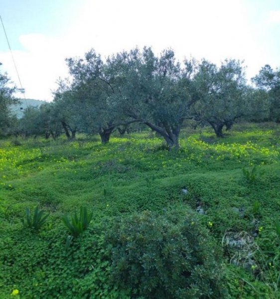 Milatos Kreta, Milatos: Baugrundstück in der Nähe des Hafens zu verkaufen Grundstück kaufen